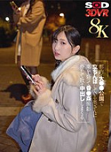 DSVR-01739 DVD Cover