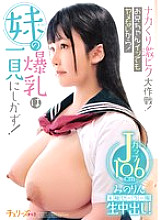 CHRV-211 DVD Cover
