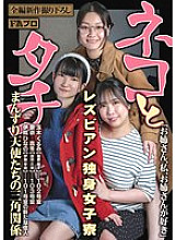 PFAS-034 DVDカバー画像