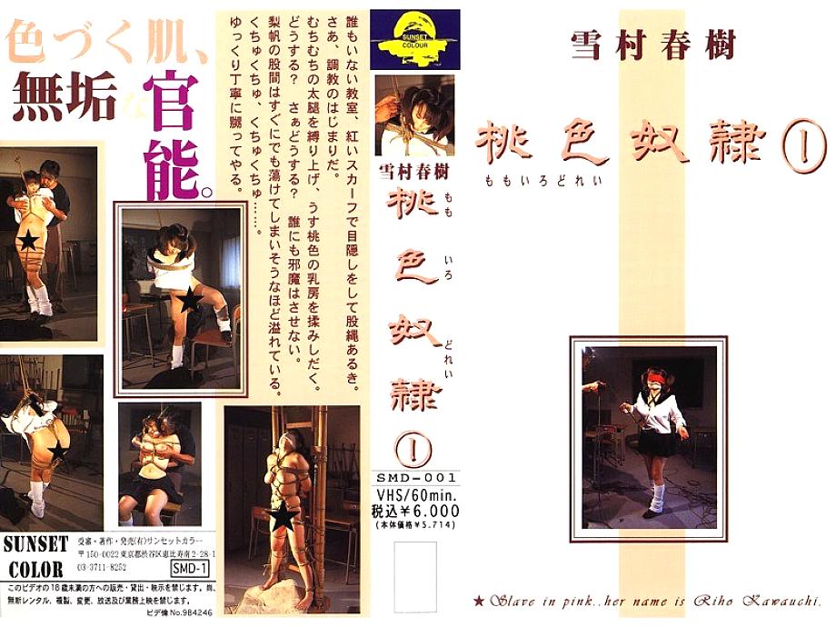 SMD-001 DVD Cover