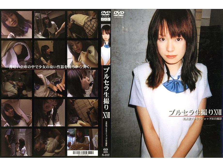 S-312 DVD Cover