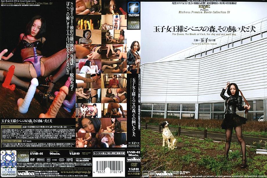 EVSD-01 DVD Cover