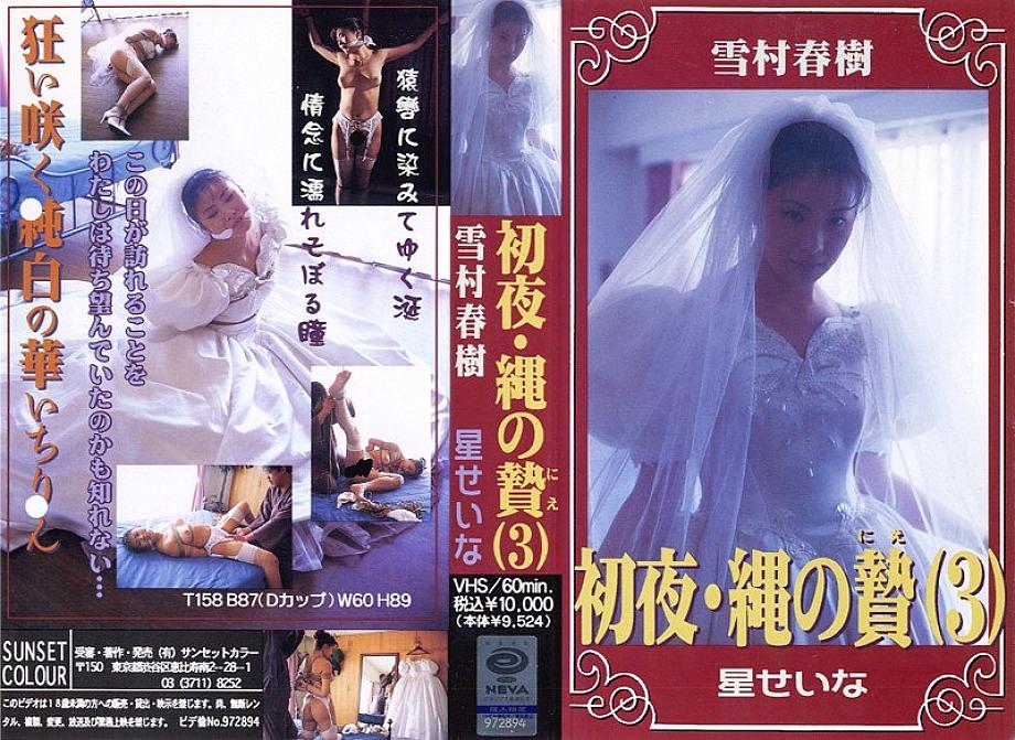 SW-003 DVD Cover