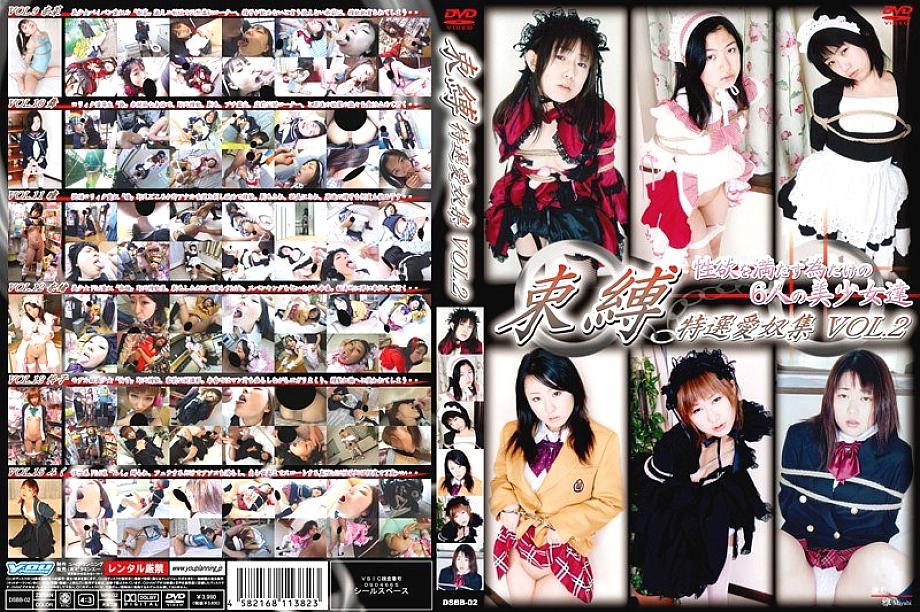 DSBB-02 DVD Cover