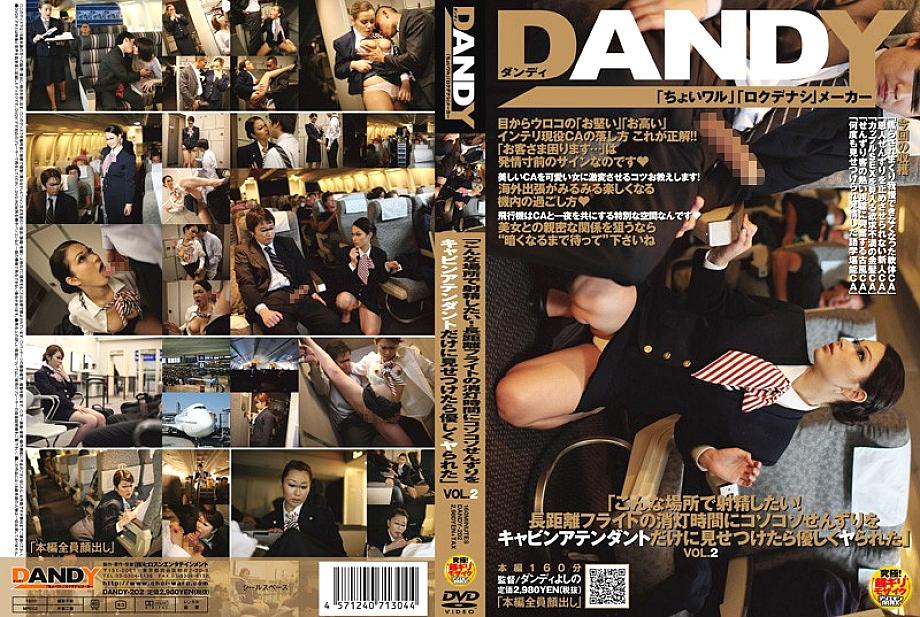 DANDY-202 DVDカバー画像