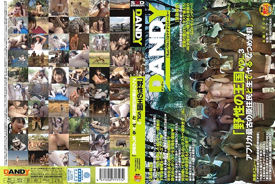 DANDY-462 Sampul DVD