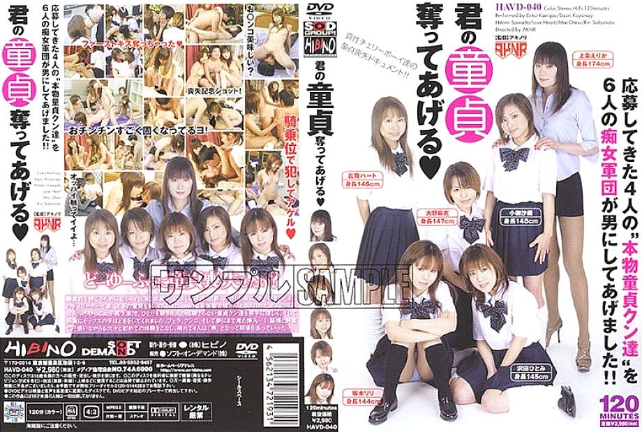 HAVD-040 Sampul DVD