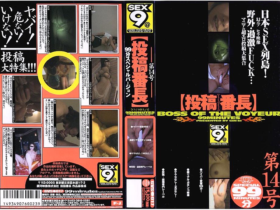 GVS-017 DVDカバー画像