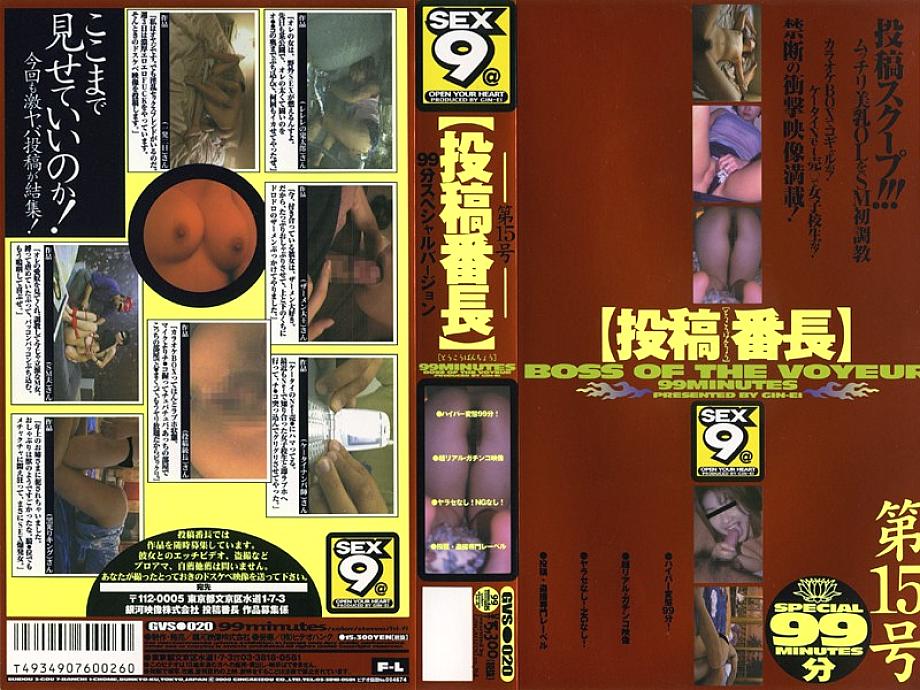 GVS-020 DVD封面图片 