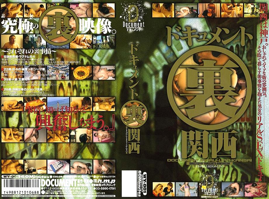 WY-001 DVD Cover