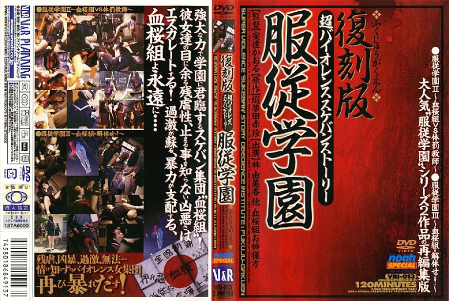 VRI-013 DVD Cover