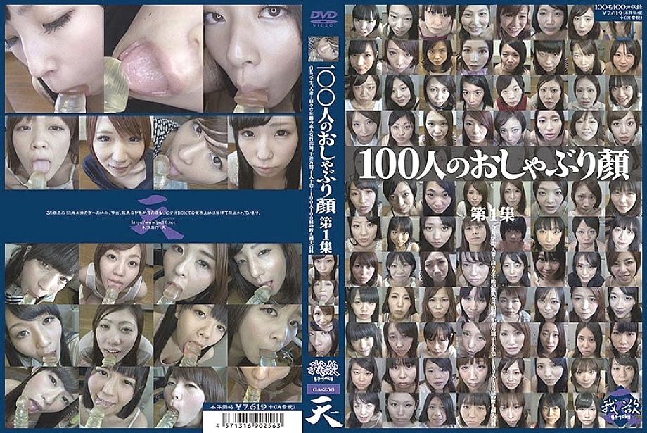 GA-256 DVD Cover