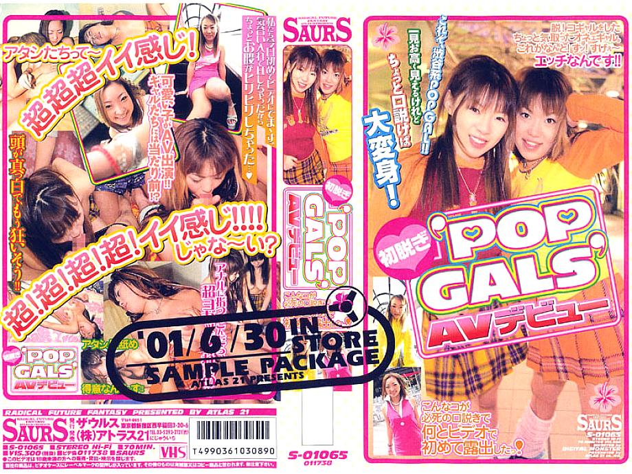S-01065 Sampul DVD