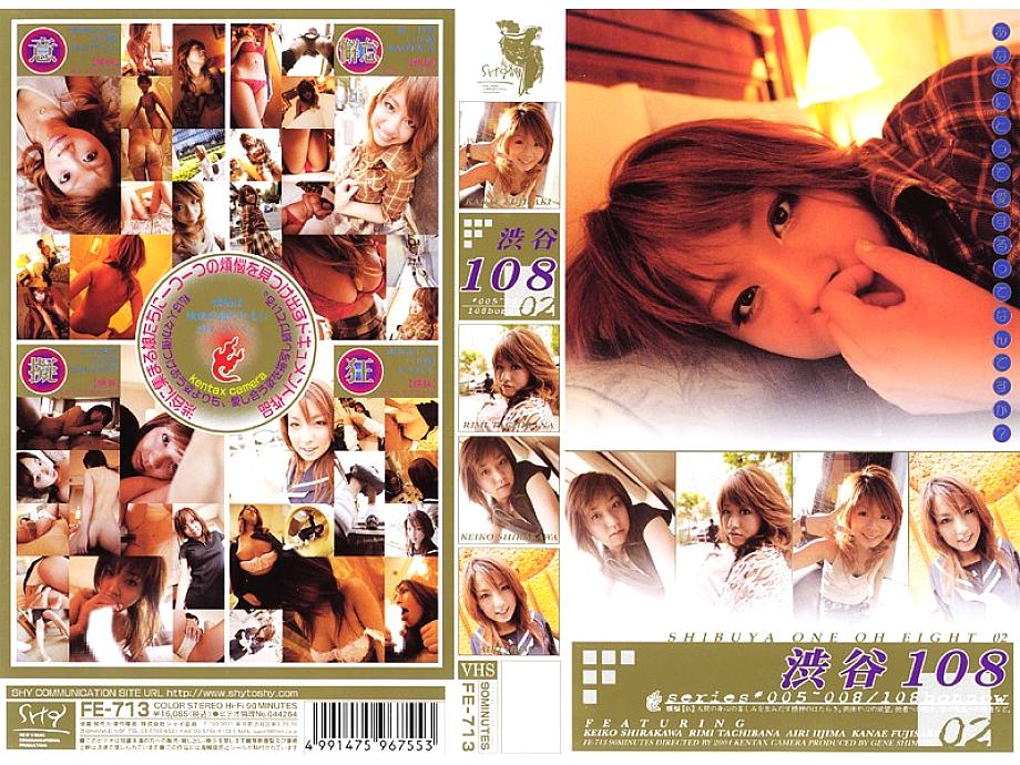 FE-713 DVD Cover