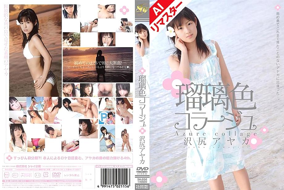 SH-056 DVD封面图片 