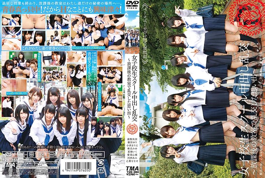 T28-384 DVD Cover