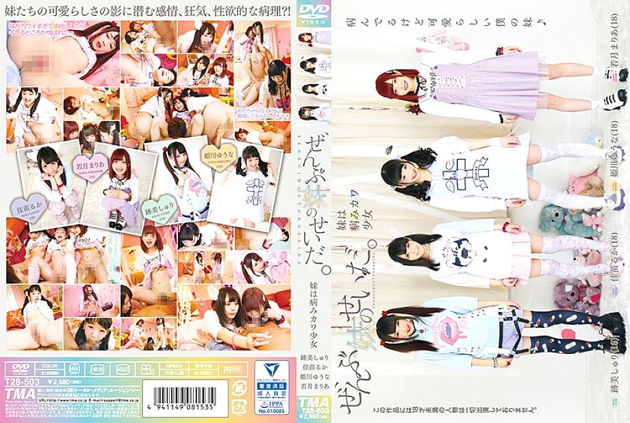 T28-503 DVD Cover