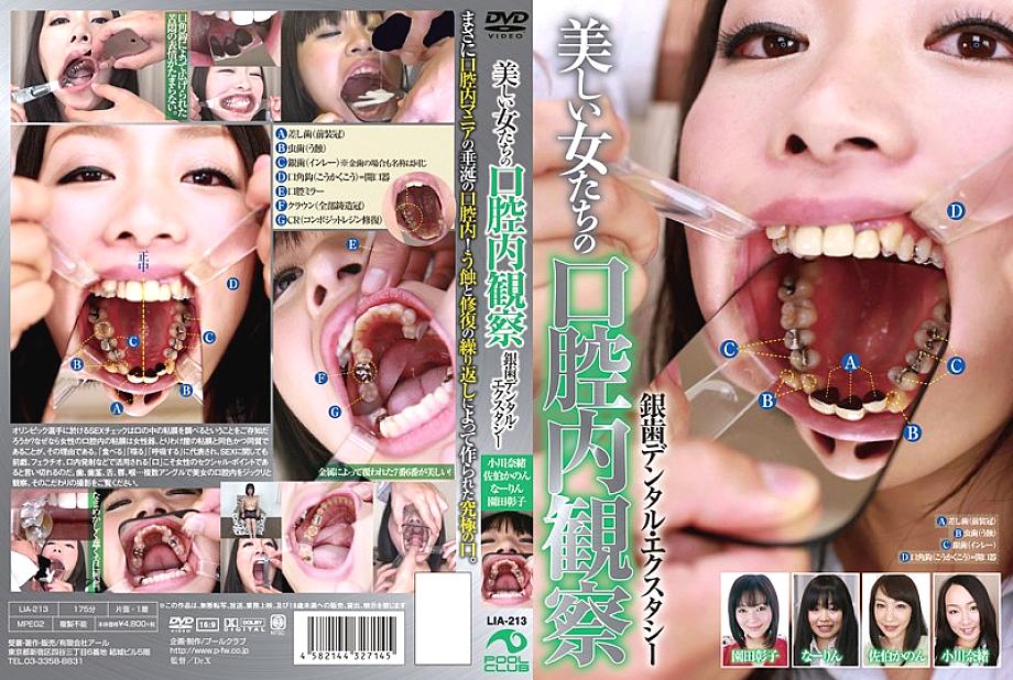 LIA-213 DVD Cover