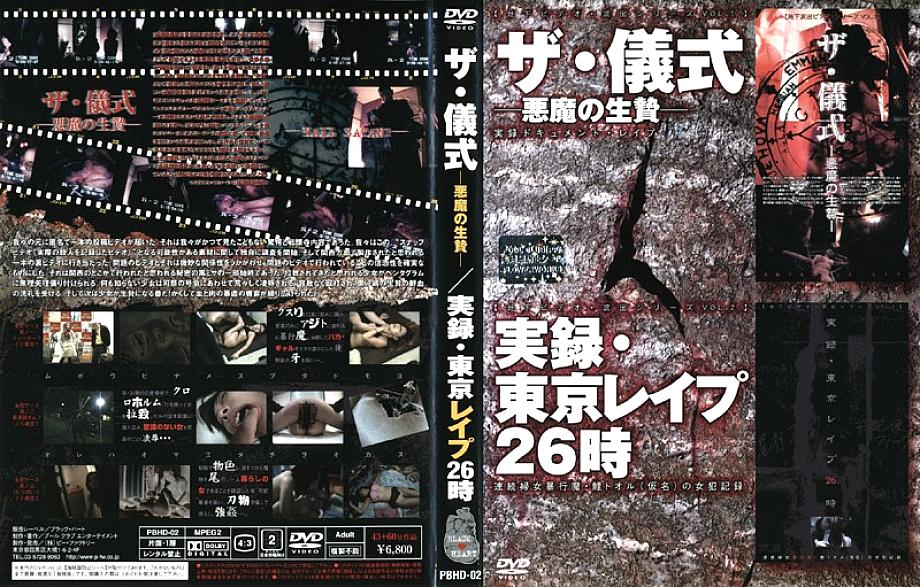 PBHD-02 DVD封面图片 