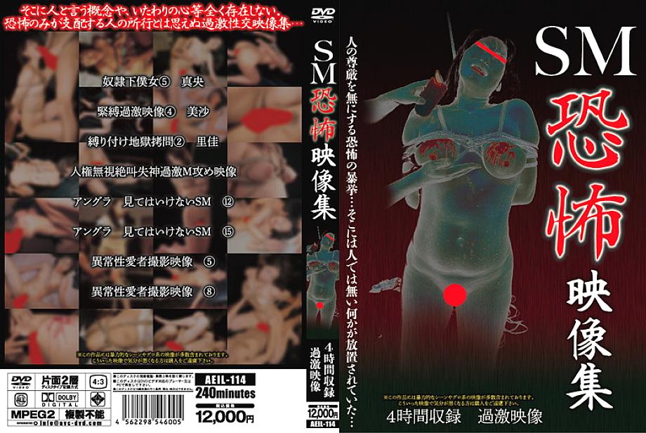 AEIL-114 DVD Cover