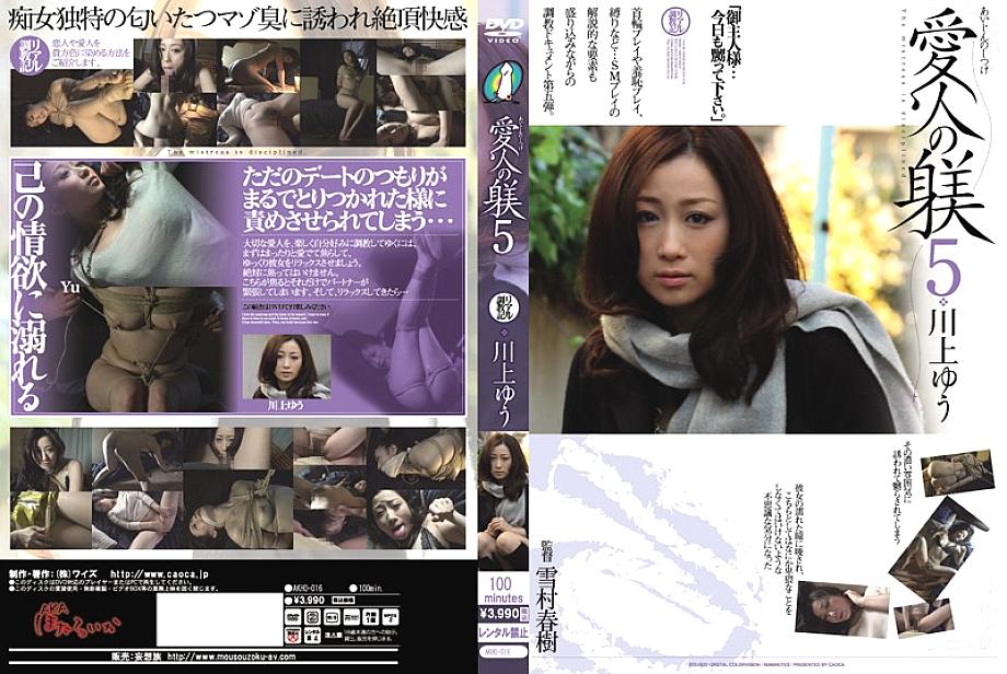 AKHO-016 DVDカバー画像