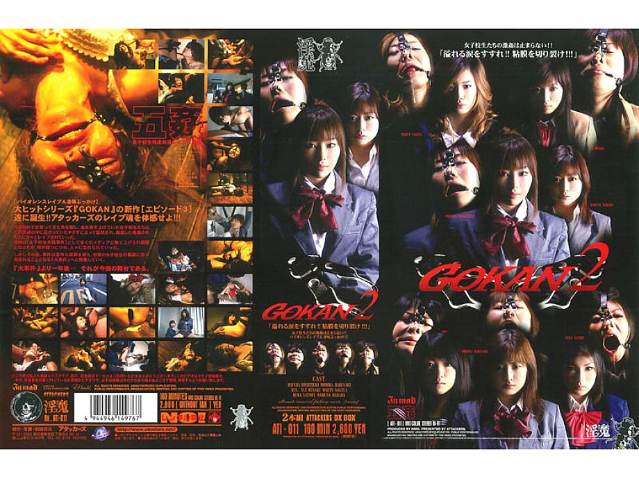 ATI-011 Sampul DVD