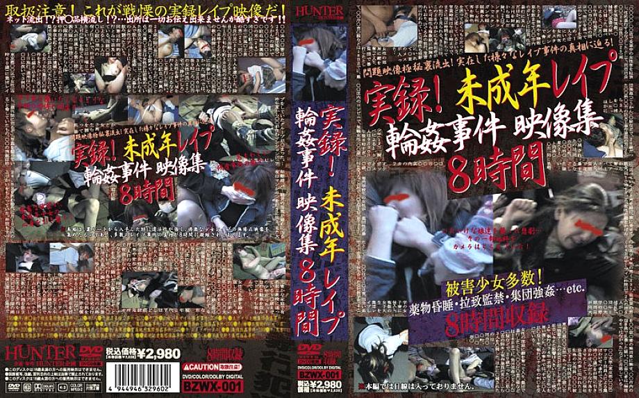 BZWX-001 Sampul DVD