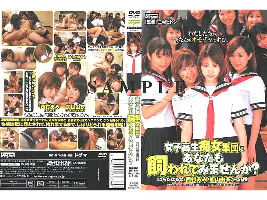 DDN036 DVD封面图片 