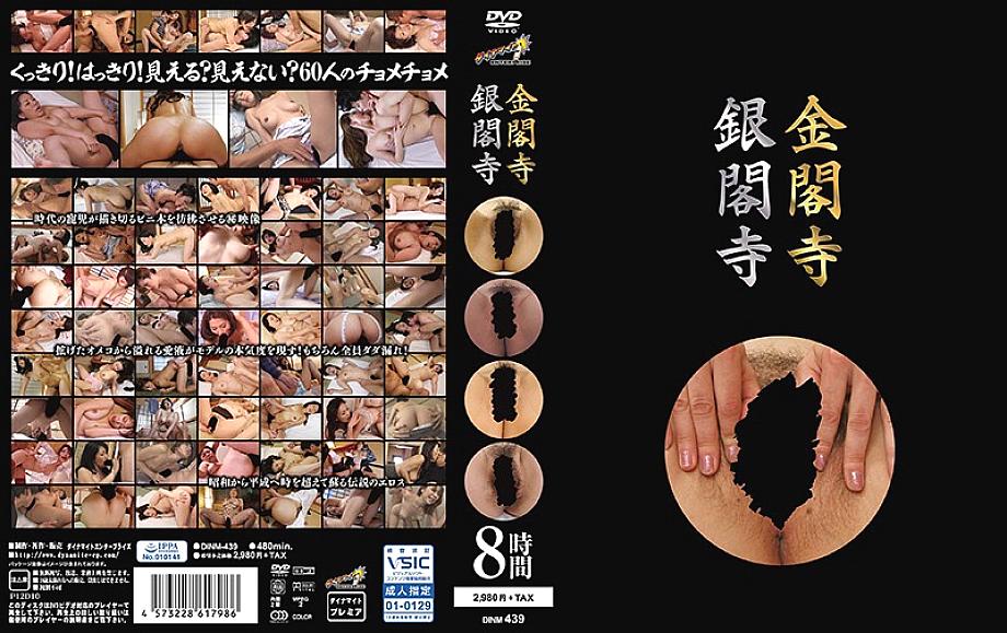 DINM-439 DVD Cover