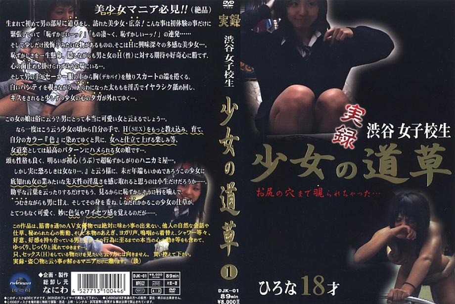 DJK-01 DVD封面图片 