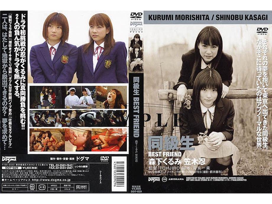 DDT029 DVD封面图片 