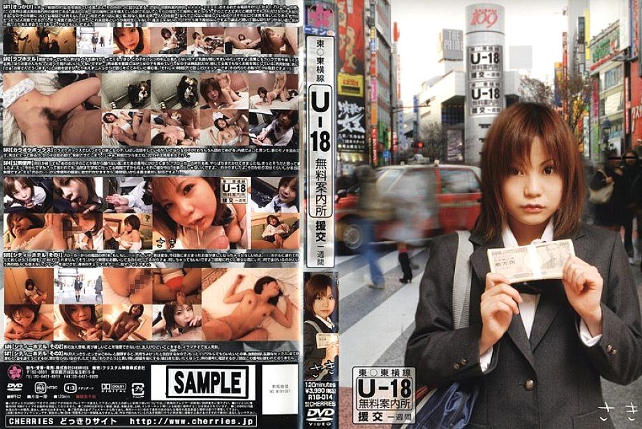 R-18014 DVD Cover