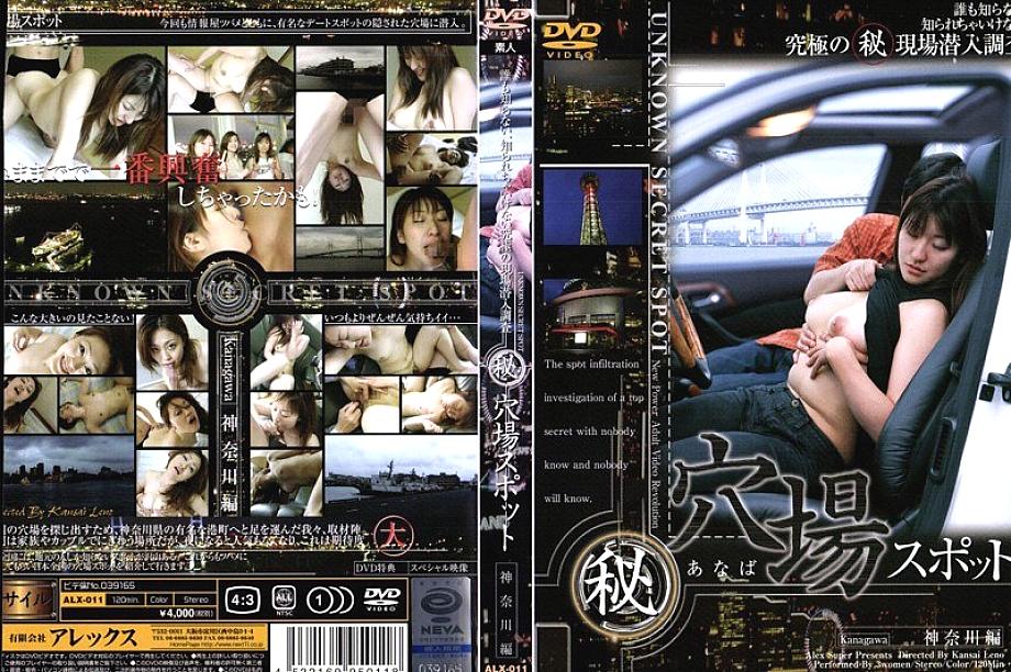 ALX-011 DVD Cover