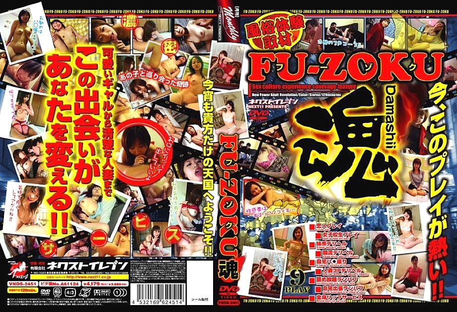 VNDS-2451 DVD Cover