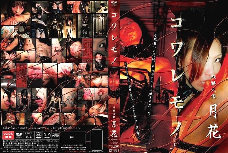 KT-602 DVD Cover