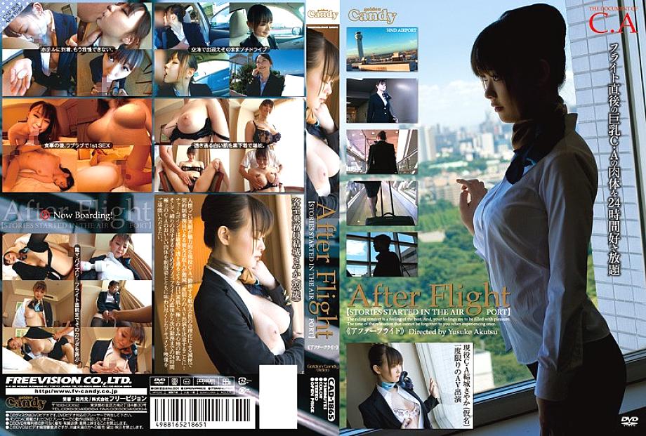 CAD-1865 DVD Cover