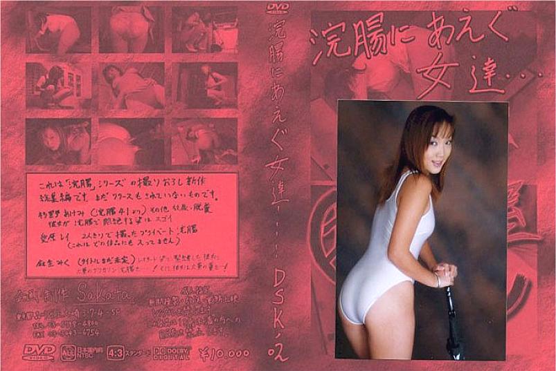DSK-02 Sampul DVD