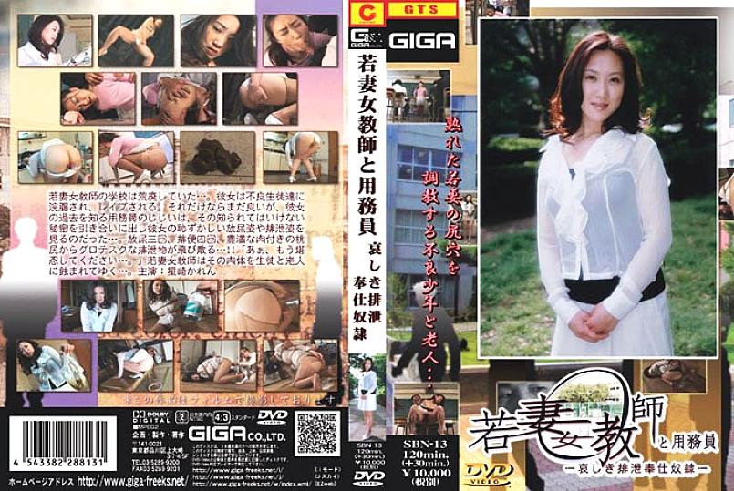 SBN-013 DVD封面图片 