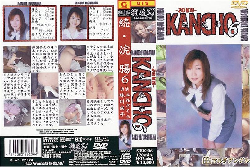 SEK-06 DVD Cover