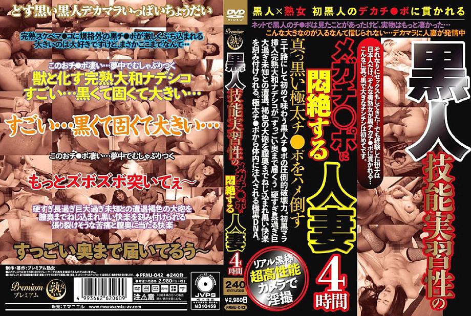 PRMJ-042 DVD Cover