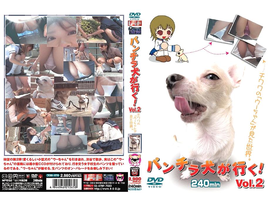 PUROD-072 DVD Cover