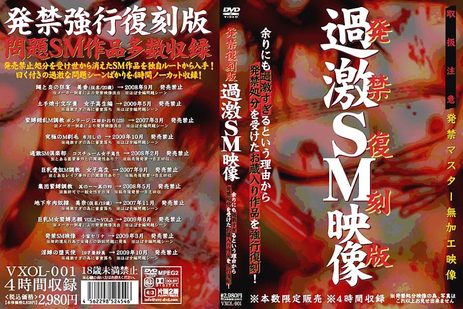 VXOL-001 Sampul DVD