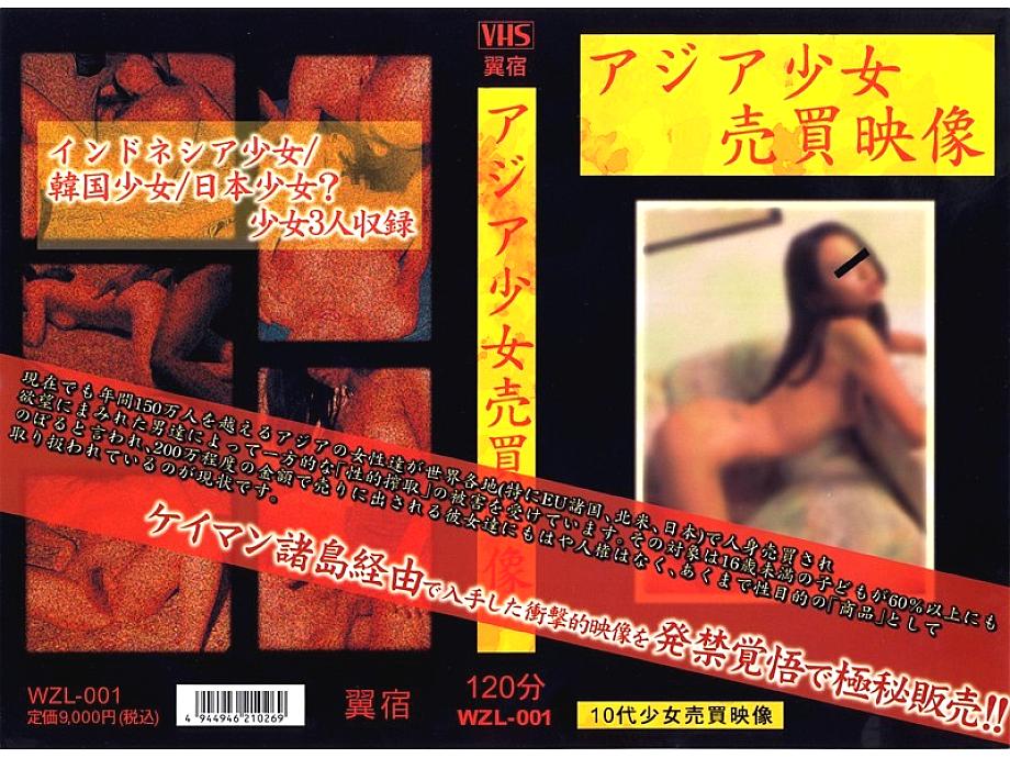 WZL-001 DVD Cover
