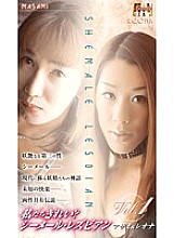 WSL-01 DVD封面图片 