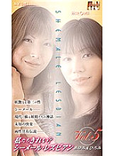 WSL-05 DVD封面图片 