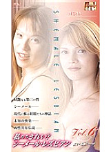 WSL-06 DVD Cover
