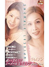 WSL-10 DVD Cover