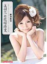 ABS-116 DVD Cover