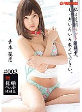 BRA-003 DVDカバー画像