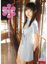 DAY-018 Sampul DVD